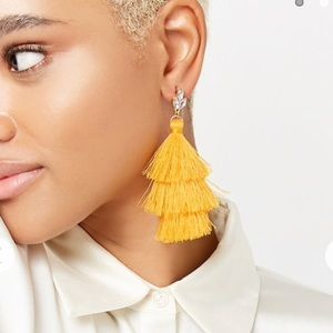 NWT Tassel Earrings